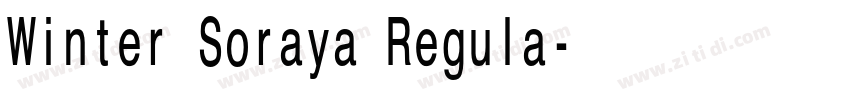 Winter Soraya Regula字体转换